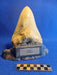 Megalodon tooth replica for sale