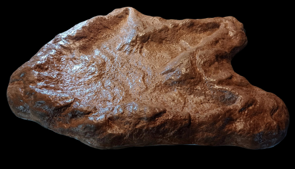 3 foot long Tyrannosaurus rex footprint replica available for sale from The Prehistoric Store. Biggest T rex footprint, similar to the dinosaur footprints found in Oxford, United Kingdom.