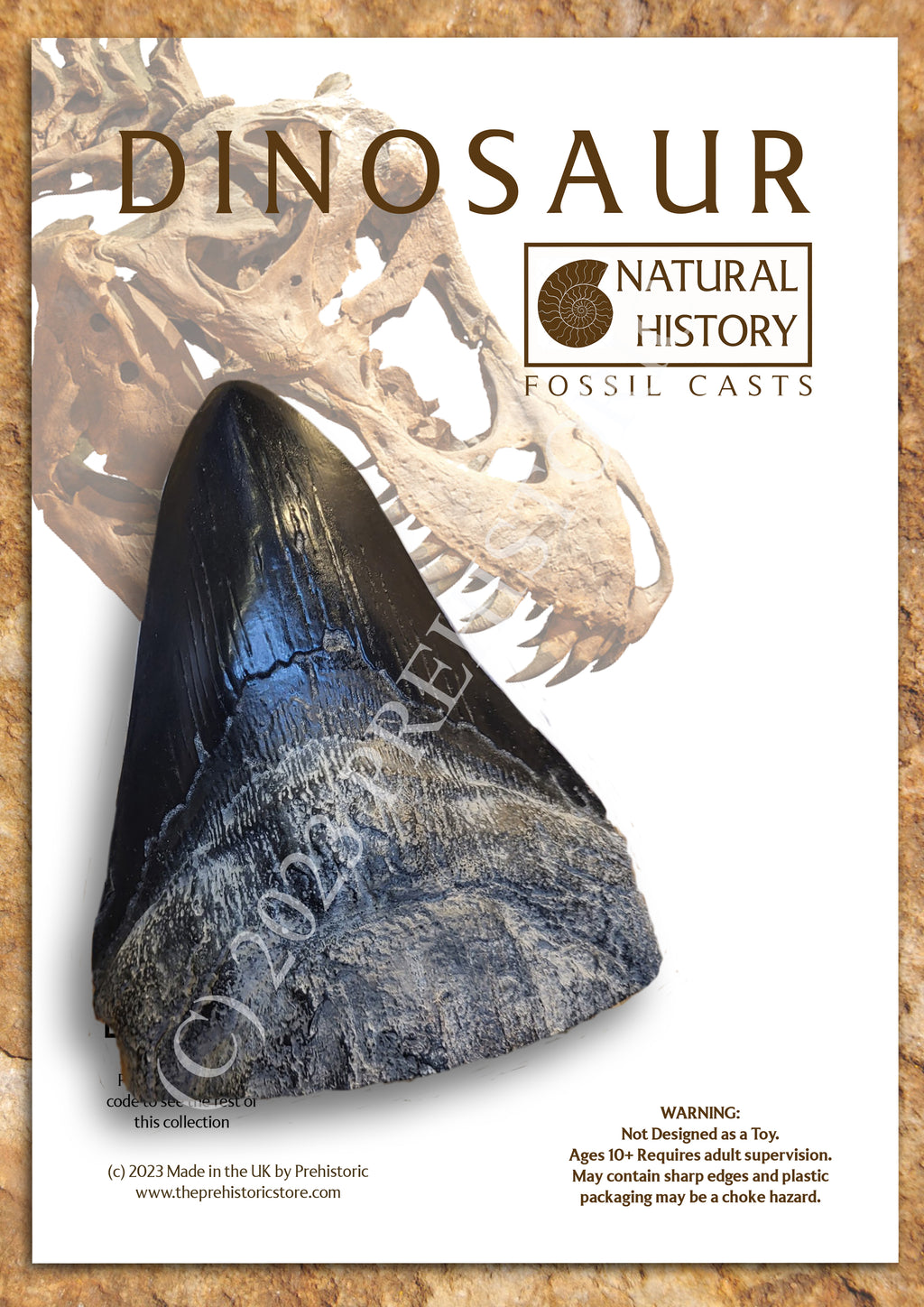 Natural History Fossil Casts — The Prehistoric Store