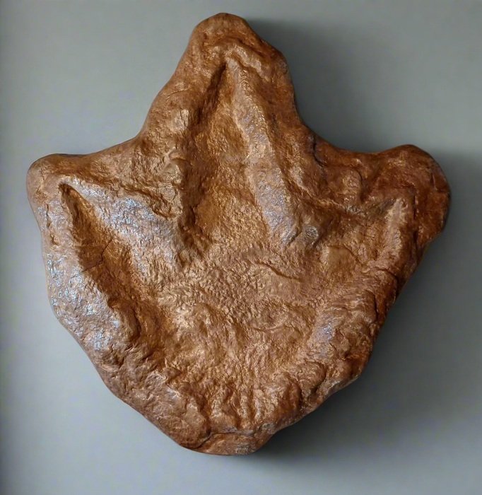 Tyrannosaurus footprint replica for sale. Giant theropod tridactyl footprint cast from a reconstruction, ideal for wall art or dinosaur exhibition.