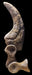 Utahraptor Sickle Claw Replica Museum Quality The Prehistoric Store