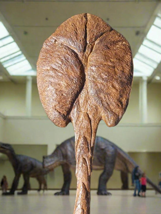 Ankylosaurus Tail Club Replica For Sale